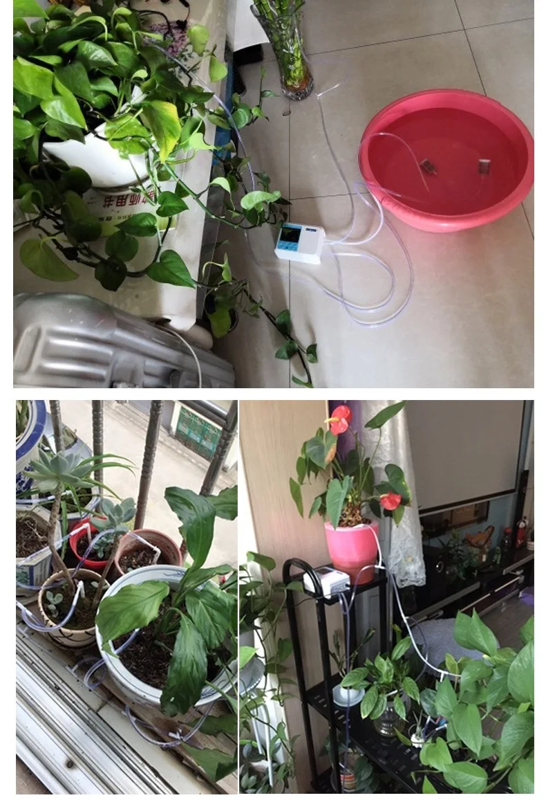 O1CN01hSaRNf1x3kcVpvlVp_!!458046388