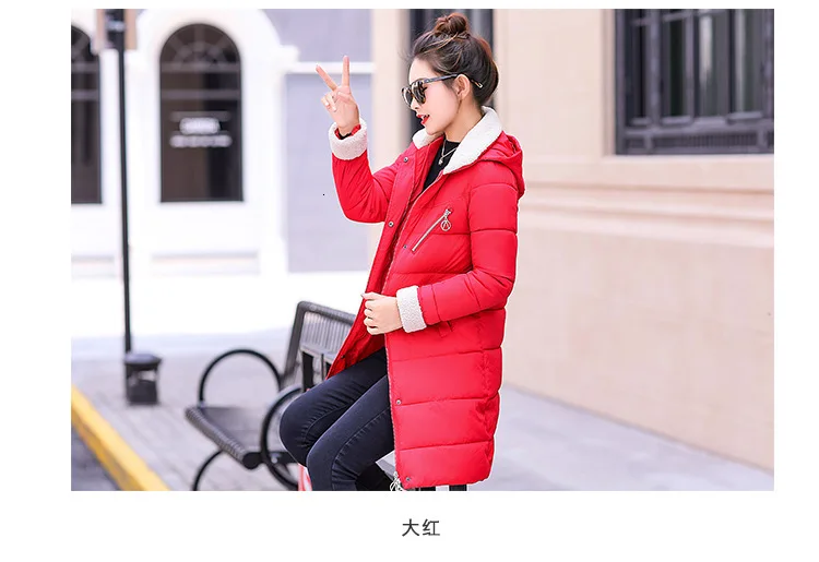 9116297950_1006637240