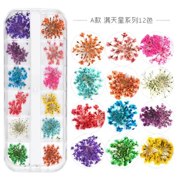 

1Box 12 Colors Nail Art Decoration Dry Flowers Star Sunflower Daisy Dry Flowers Decorate 24 Nail Dry Flowers