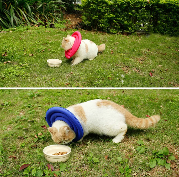 9361646168_882278070