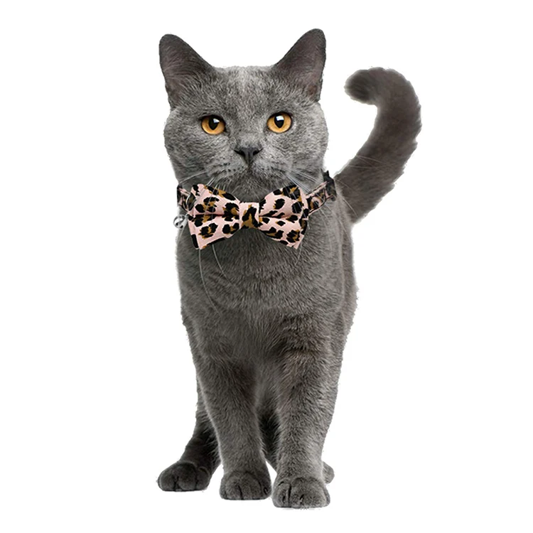 1 - 61eEGMKILYL._SL1200_