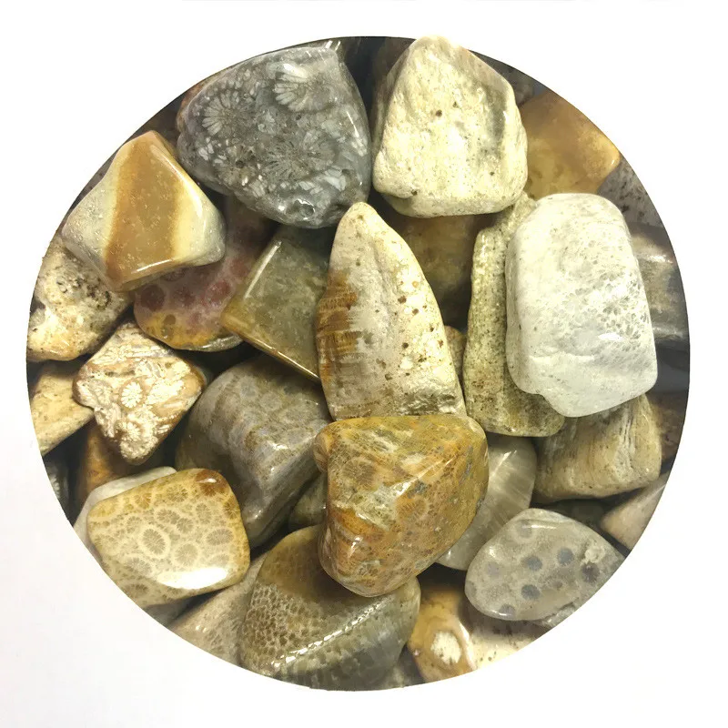 100g 15-40mm natural coral jade stone chrysanthemum stone gravel original stone landscaping decorative stone ornaments ore 100g 15-40mm natural coral jade stone chrysanthemum stone gravel original stone landscaping decorative stone ornaments ore