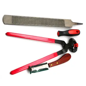 

3Pcs Horse Farrier Hoof Trim Tool Kit Professional Horses Hoof Trimming Tools Set With Horse Equine Metal Shears And Farriers