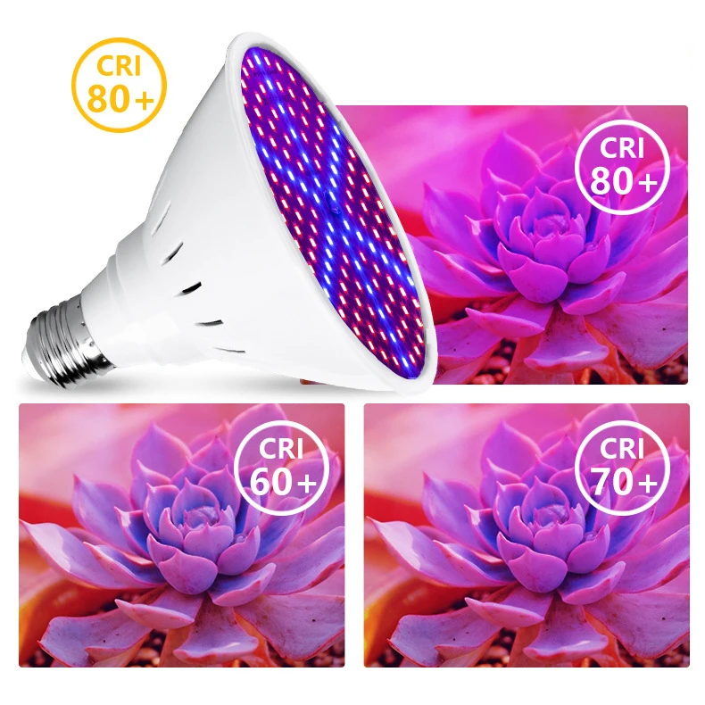 11897971316_1585587929