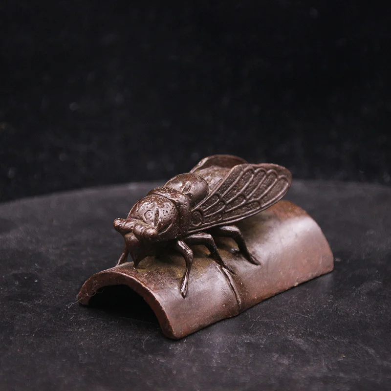 Golden Cicada  (2)