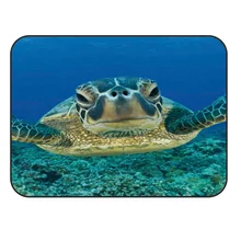 CHARMHOME мягкий ковер Противоскользящий ковер морская черепаха ковер для гостиной коврик для домашнего декора