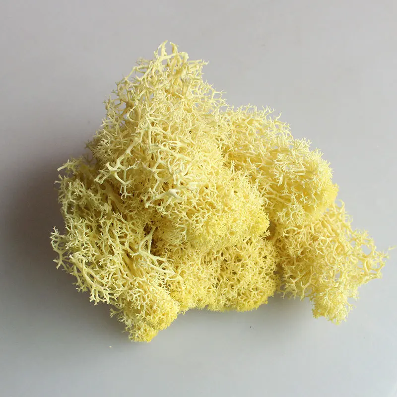 Yellow Йо Чо натуральный норвежский олень мох консервированный сушеный ремесло цветок тычинки украшение свадебное украшение для сказочного сада декор мускус - Цвет: Yellow