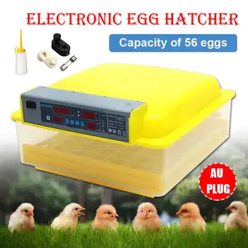 

56 Egg Home Brooder Incubator Automatic Egg Incubator Hatcher Clear Egg Turning Temperature Control Poultry Hatcher Farm Hatcher
