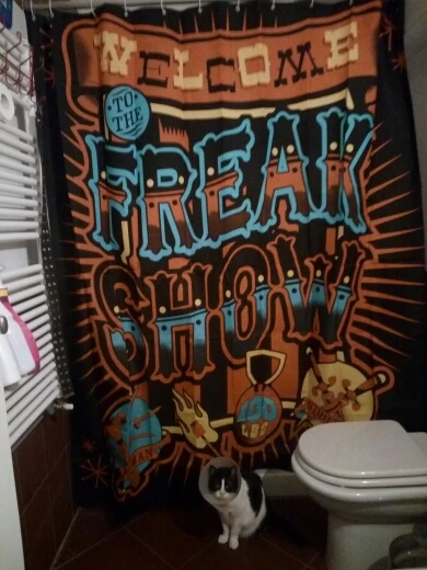 UT8M0_cXHtaXXagOFbXG