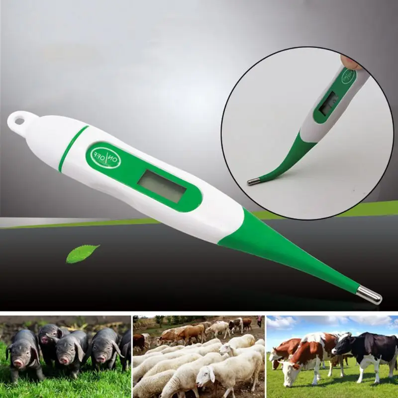 Animal Thermometer Pet Digital Thermometer for Accurate Detection Suitable for Cats Dogs Waterproof