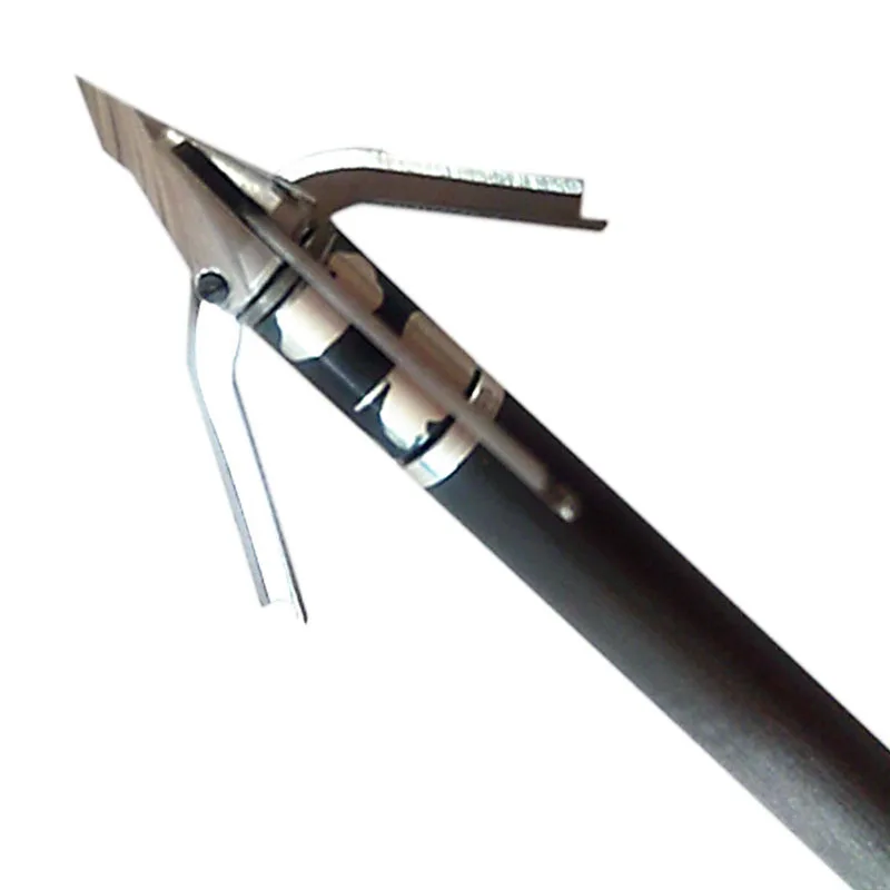 2541089087_1148519445