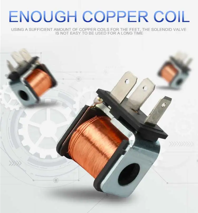 任侃侃小泰迪_06