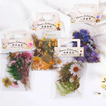 

40pcs DIY Paper Designs Natural Clover Japanese Words Stickers Transparent PET Material Flowers Leaves Plants Deco Stickers