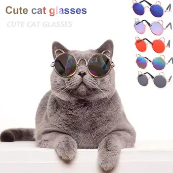 

FAST SHIP! Cat Cute Sunglasses Dog Teddy Sunglasses Personality Funny Pet Accessories Cat Glasses Pet Supplies 8.2*7*3.5cm