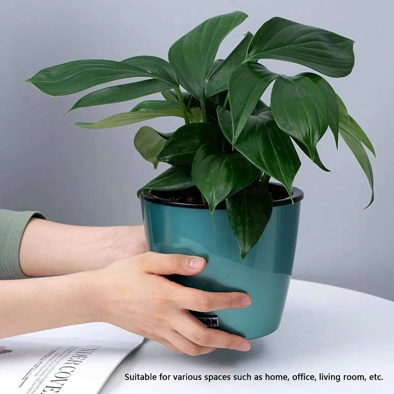 61MU34P9z3L._AC_SL1000_