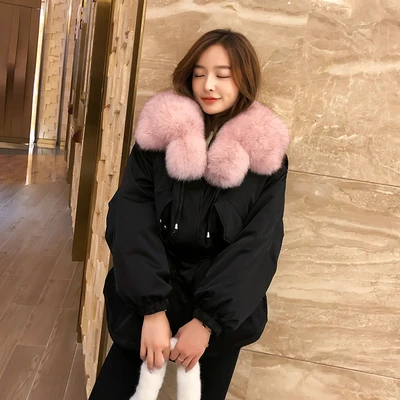 Black And Pink Большой натуральный меховой воротник, зимнее меховое пальто для женщин, черные парки, пуховик для женщин, белый утиный пух, Короткие пальто, плотная теплая парка - Цвет: Black And Pink