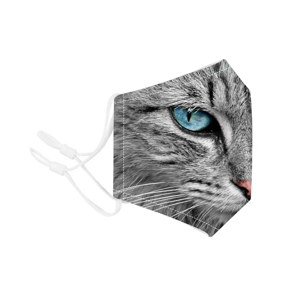 BXHB-017-2