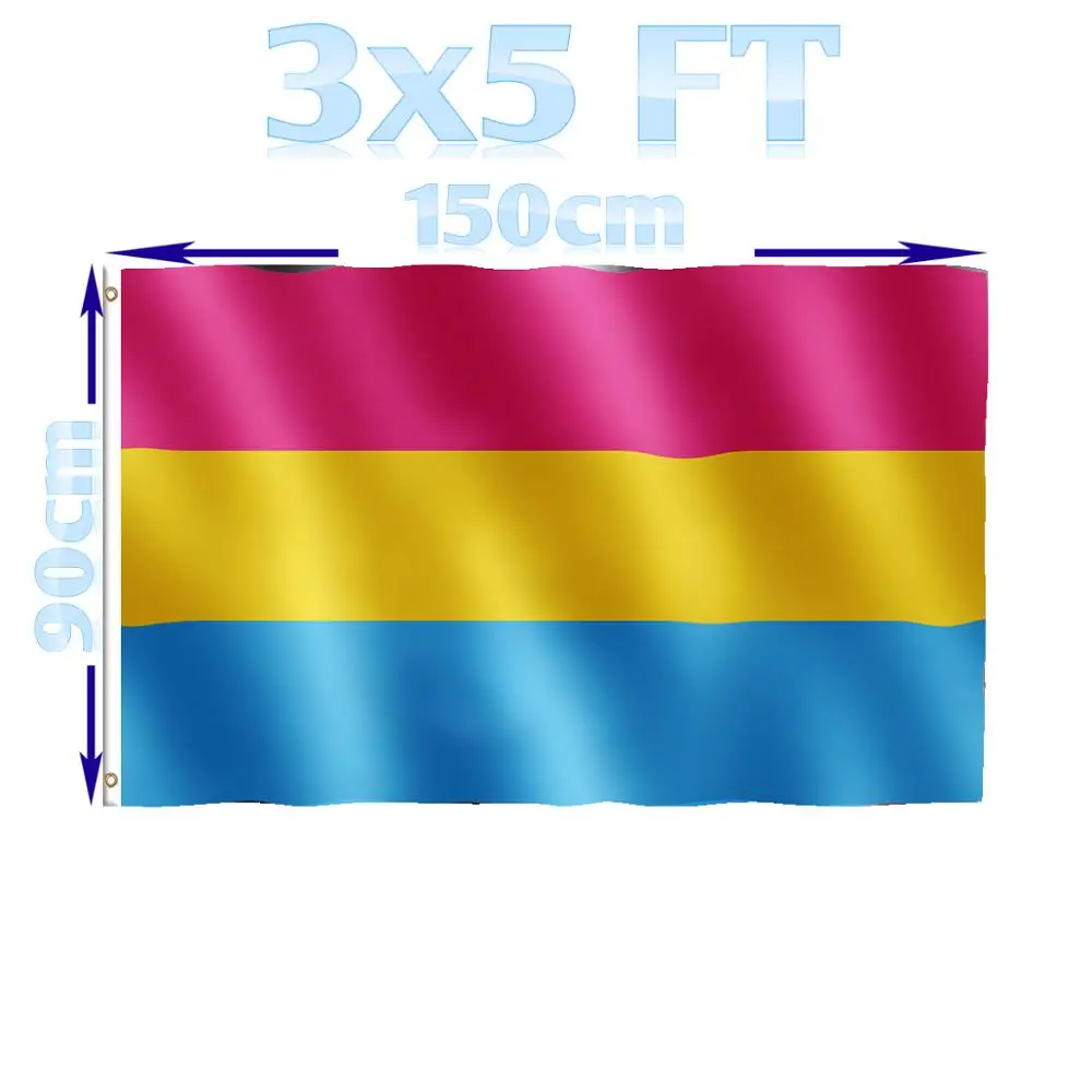 

BENFACTORY Store 3x5 Ft Single Layer 100D Polyester Brass Grommets Indoor Outdoor Pansexual Pride Flag