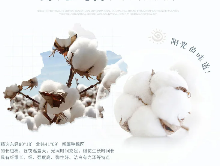 QQ图片20191122130706