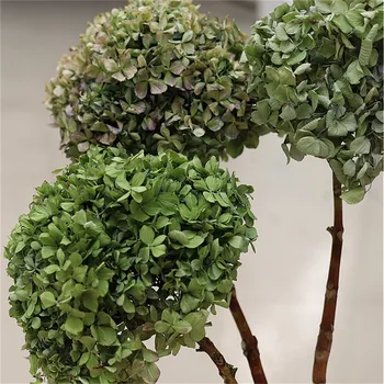 

2 Stems Natural Fresh Preserved Flowers Dried Hydrangea Flower Head For DIY Real Eternal Life Flowers Material NO Vase