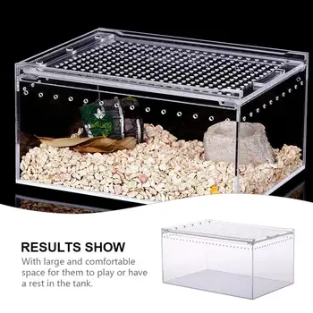 

Acrylic Reptile Feeding Box Climbing Box Transparent Reptile Pet Feeding Container Transparent Breeding Box Reptile Animals Box
