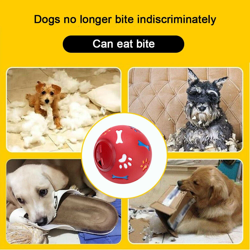 Why Are Dogs Balls Red