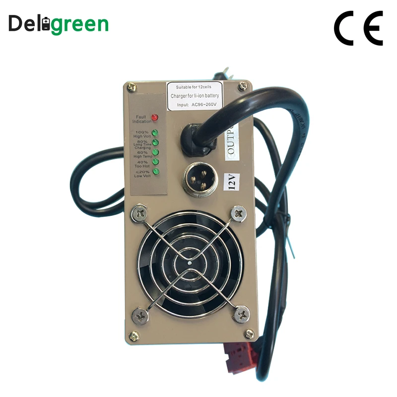 12V 25A 30A Smart Portable Charger for Electric