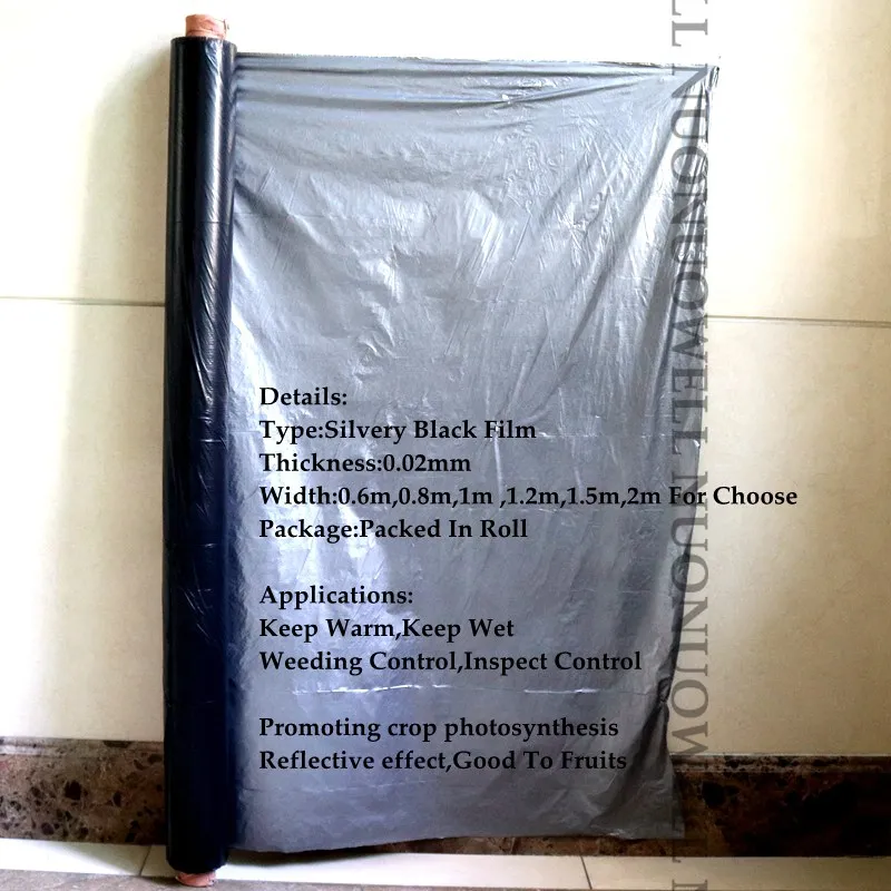 IMG_3903 - 副本 - 副本