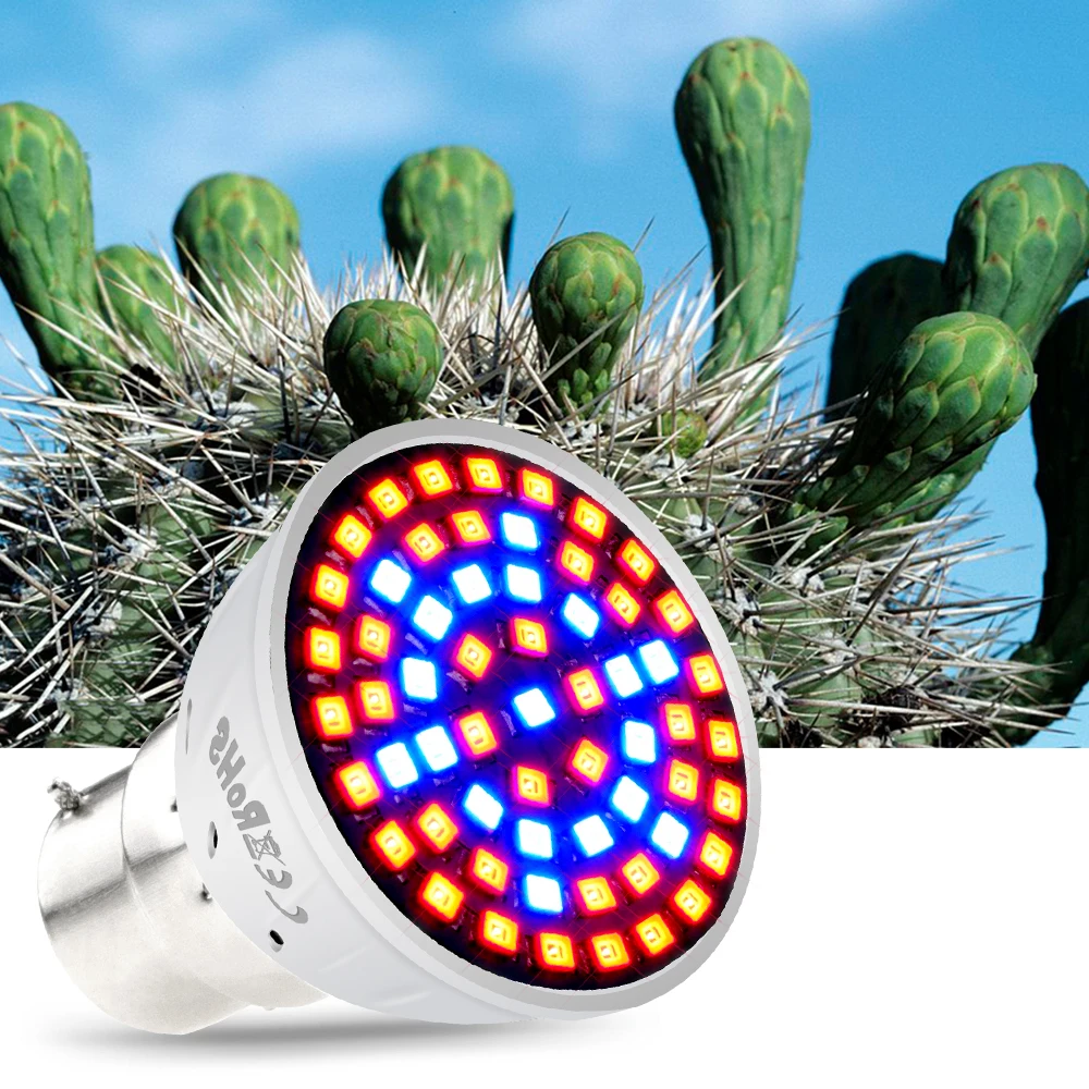 

GU10 Plant Grow Light LED Full Spectrum E27 Growing LED Hydroponics Light E14 Phyto Lamp MR16 Growth Bulb 48 60 80leds B22 220V