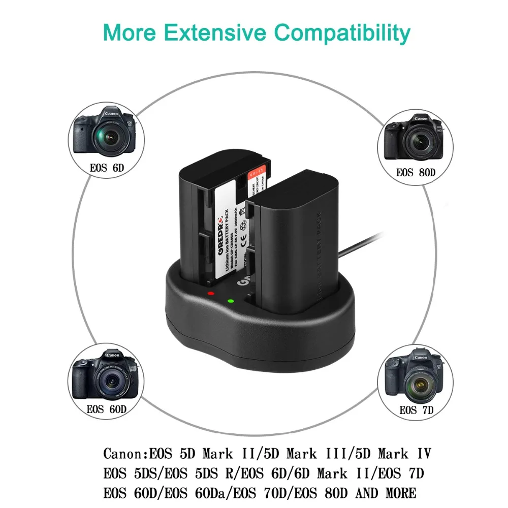 2 шт LP-E6 LP E6 LP-E6N литий-ионные аккумуляторы+ USB двойное зарядное устройство для цифровой камеры Canon 6D 60D 7D 70D 5DII 5D2 5D3