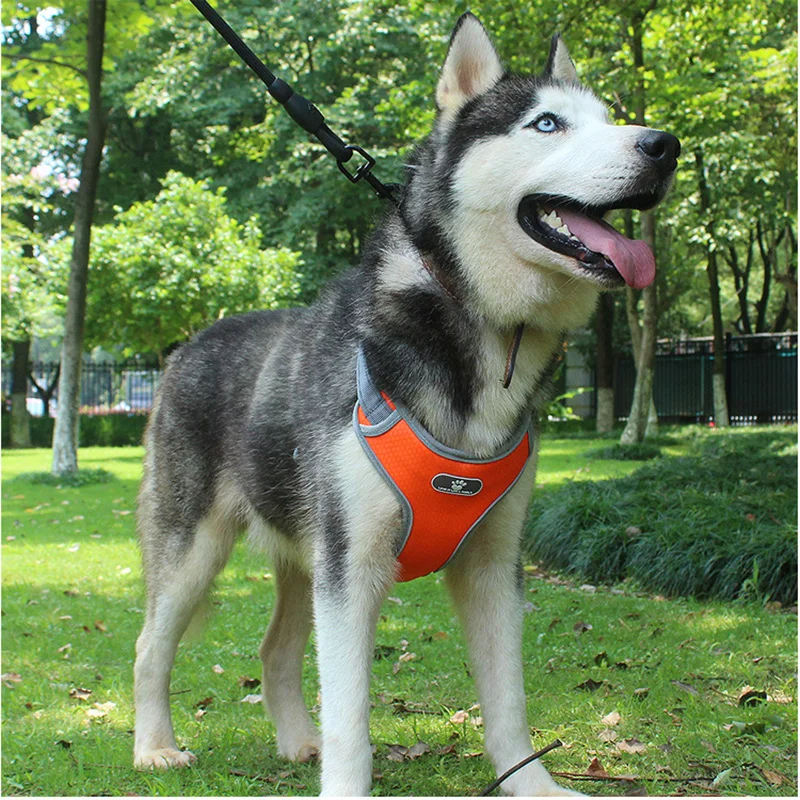Dog Protective Vest Adjustable Reflective Breathable Harnesses For Medium Large Dog Breast-band Husky Alaskan Pet Accessories