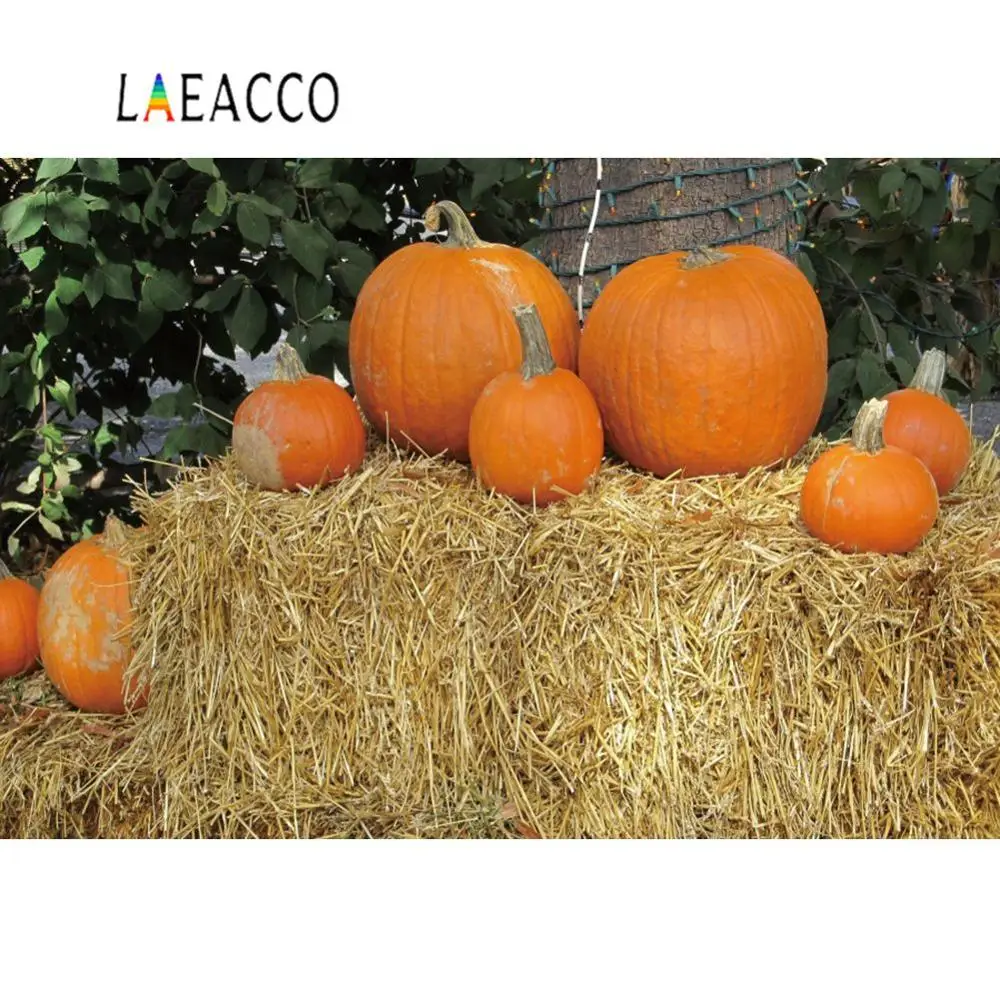 

Laeacco Photography Backgrounds Autumn Haystack Pumpkin Baby Newborn Warehouse Portrait Photo Backdrops Photocall Photo Studio