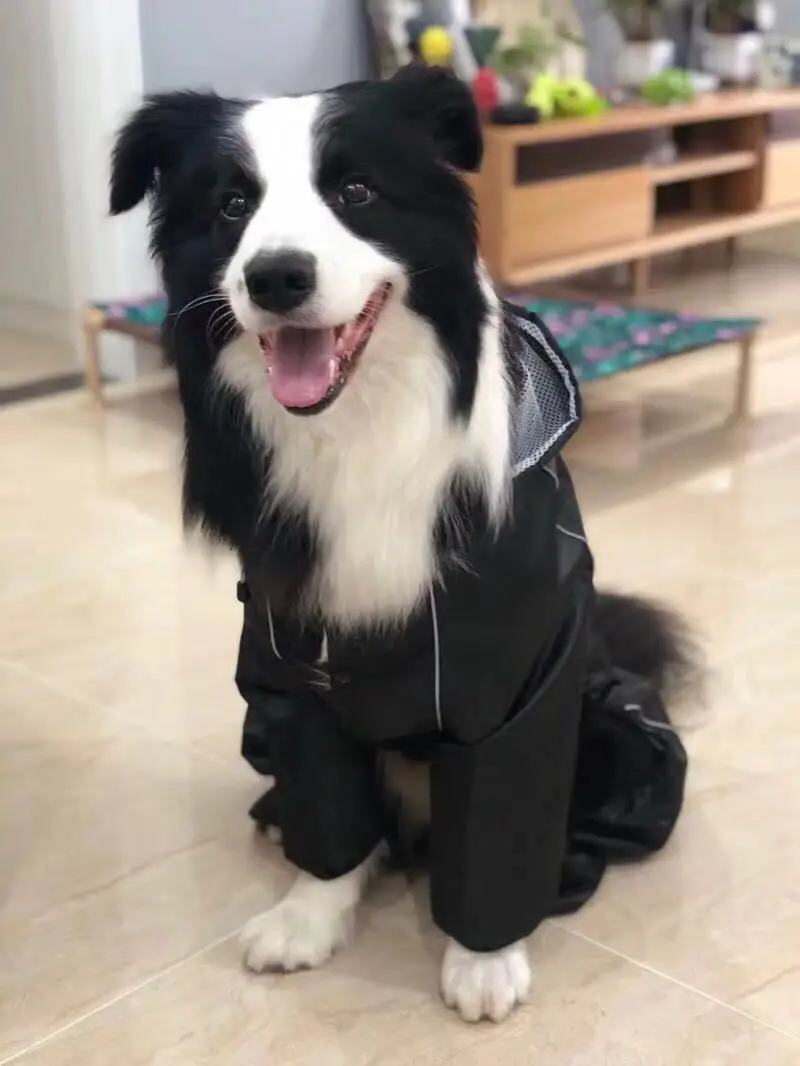 Cool Black Raincoat - Prestigious Raincoat In Domega