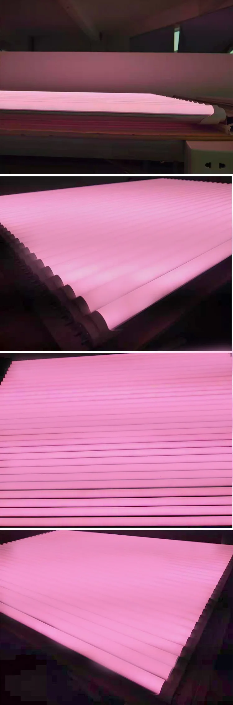 11346835770_1668786367