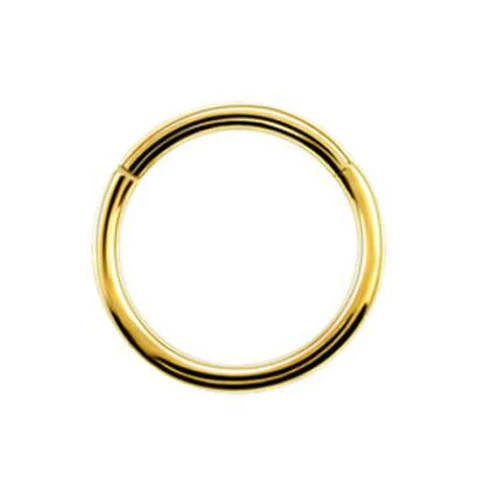 Gold 1 шт. G23 18 г и 16gTitanium сегментные шарнирные кольца Перегородка носа кликер пирсинг носа губы Серьги Спираль пирсинг носа ювелирные изделия для тела - Окраска металла: Gold