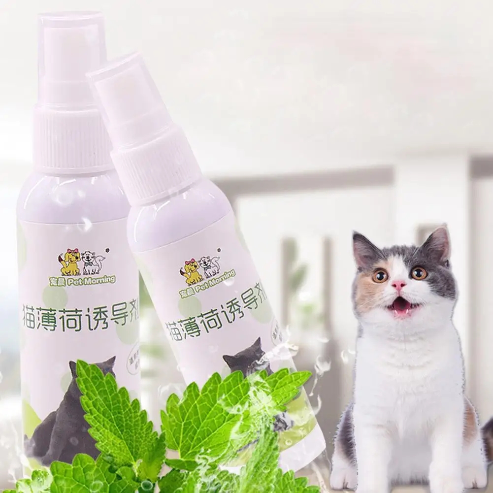 50 мл натуральная кошачья мята спрей Cat хорошее волнение игрушка котенок защитная