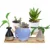 14 Tyles Bamboo Tray Bonsai Holder Home Balcony Bamboo Wood Flower Pot Holder Цветочные Горшки Лоток Садовый Аксессуар