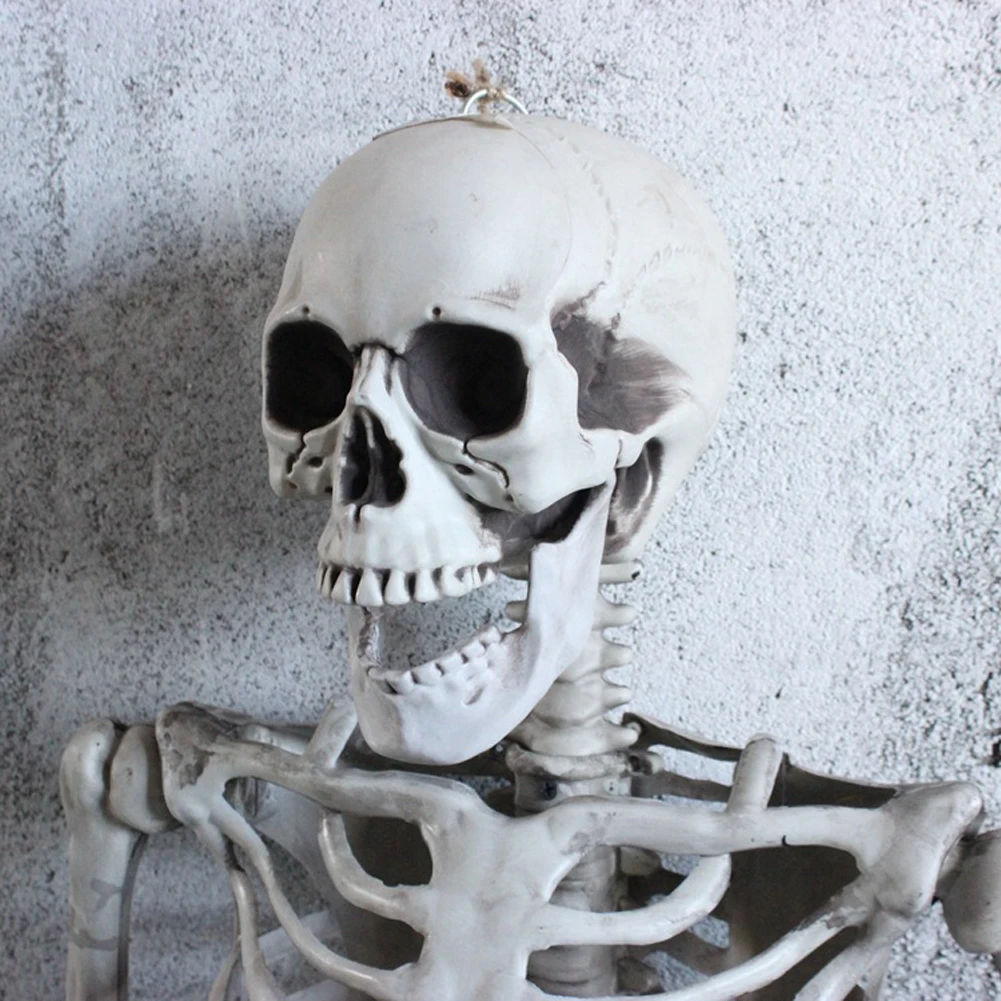 Пластиковые реалистичные человеческие кости скелет ужас Хэллоуин Рождество животные ворона декоративный Скелет новогодний дом с привидениями 40 см B4
