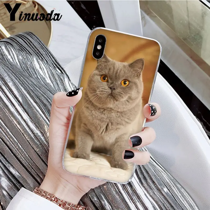 Yinuoda British Shorthair cat Novelty Fundas Phone Case Cover for Apple iPhone 8 7 6 6S Plus X XS MAX 5 5S SE XR Cover