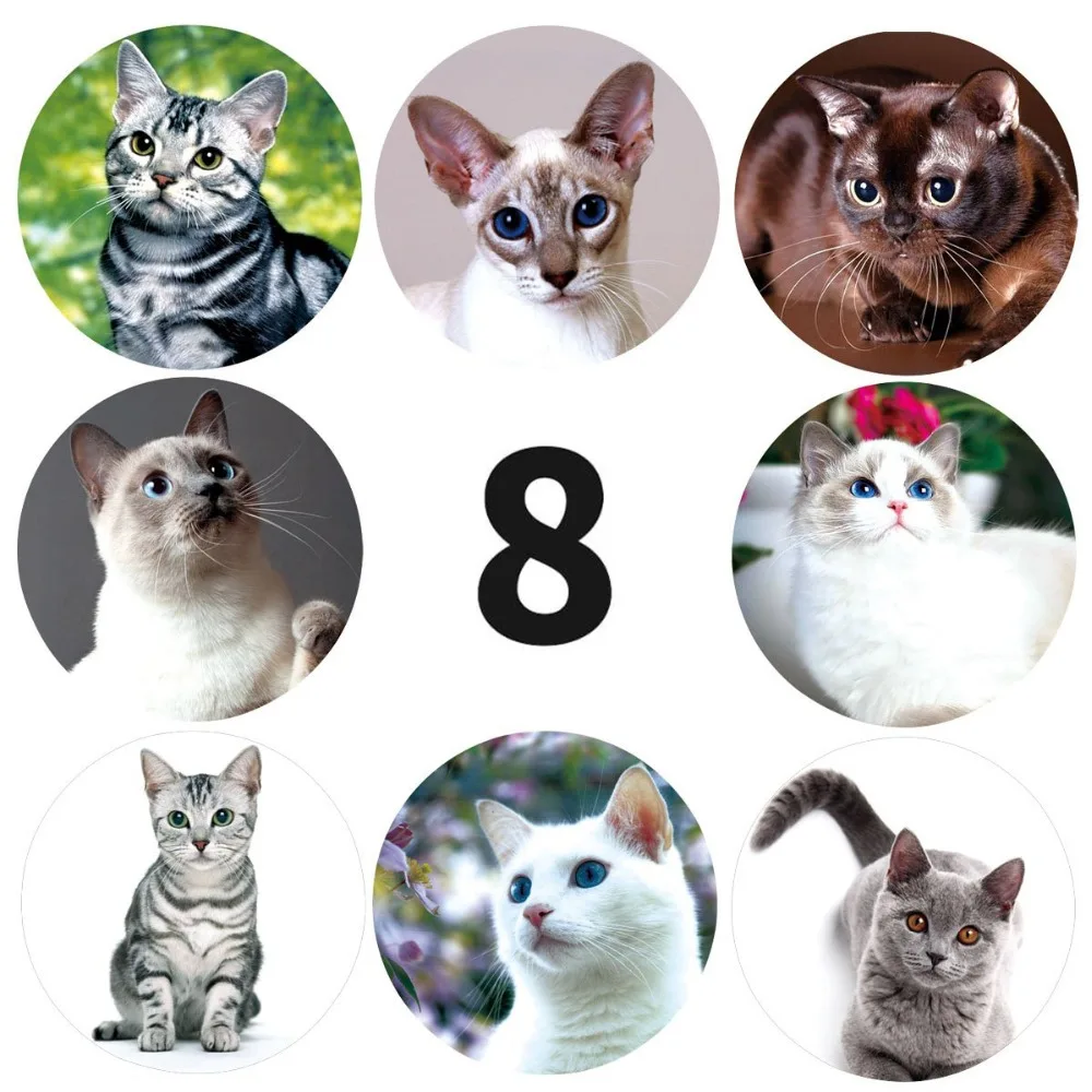 13498087664_136388158