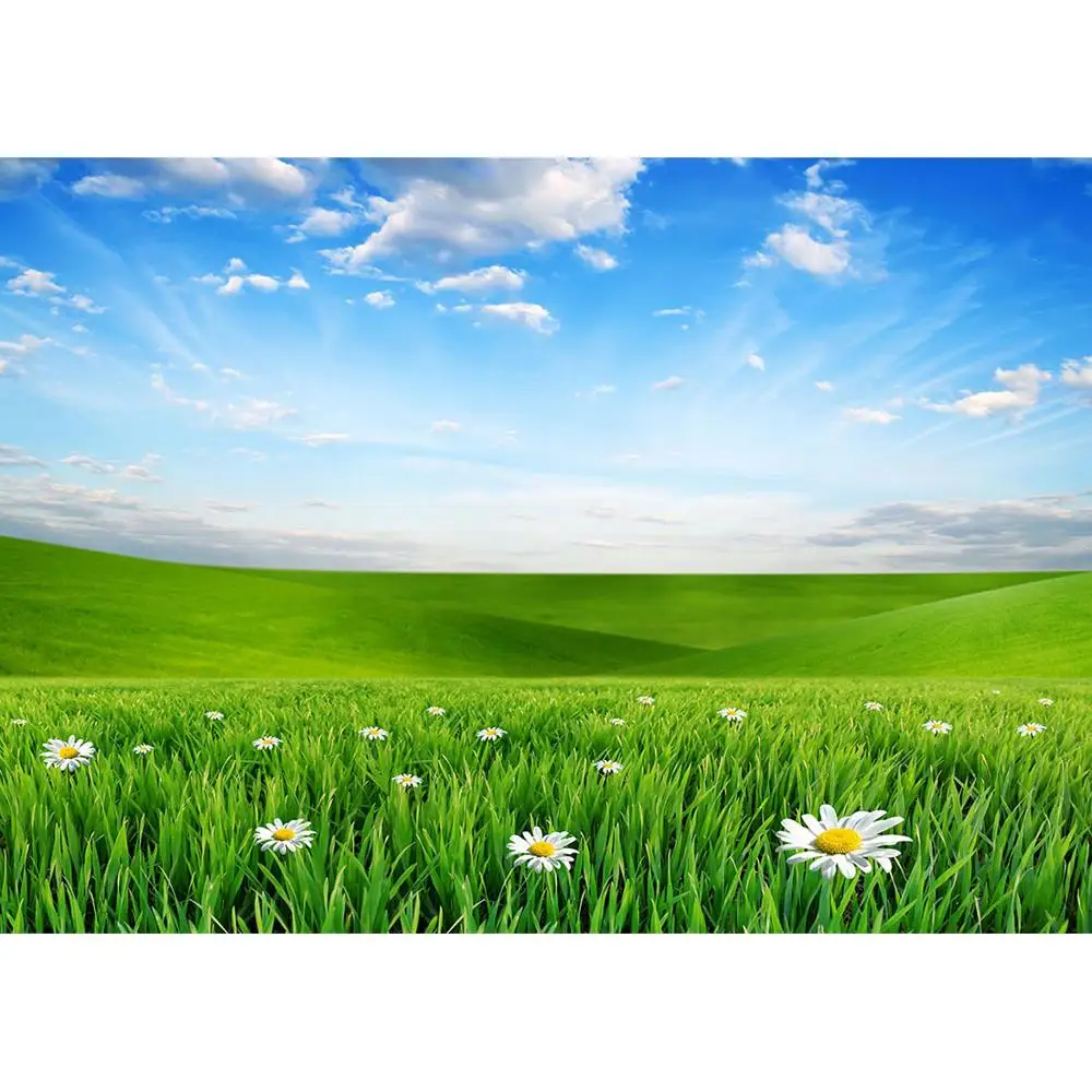 Sky Flowers Grassland Wedding Children Photocall Photographic Backdrops Vinyl Cloth Photography Backgrounds For Photo Studio | Электроника