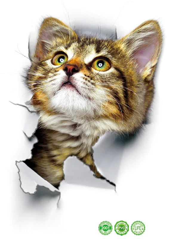 Vivid Cats 3D настенная наклейка для ванной туалета гостиной кухни украшения животных
