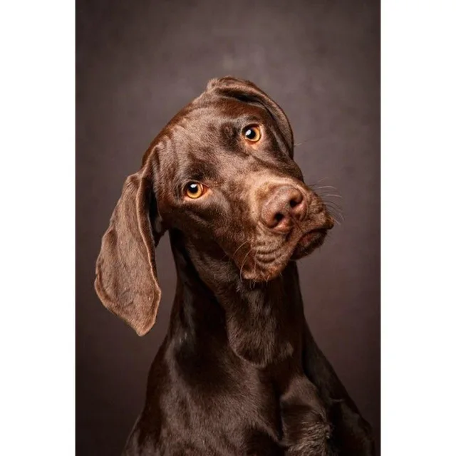 H7e6b3ff17d1444cead27c0b930be1078Y