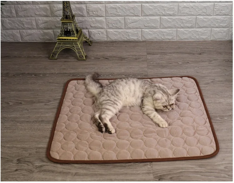 11592497933_892870399