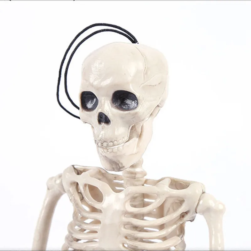 11980370151_2098354695