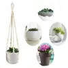 Garden Supplies