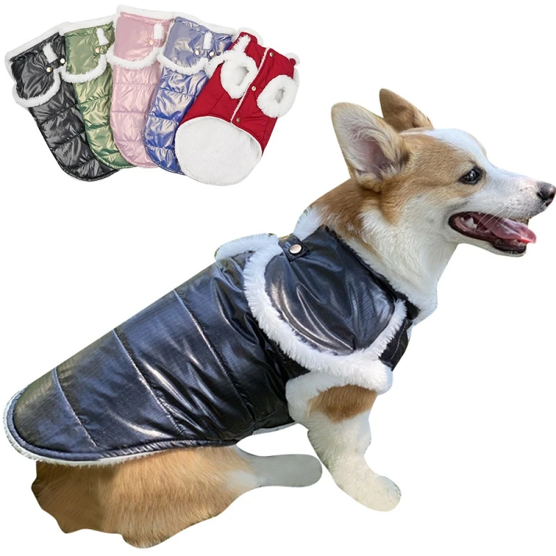 Waterproof small dog coat Clearance