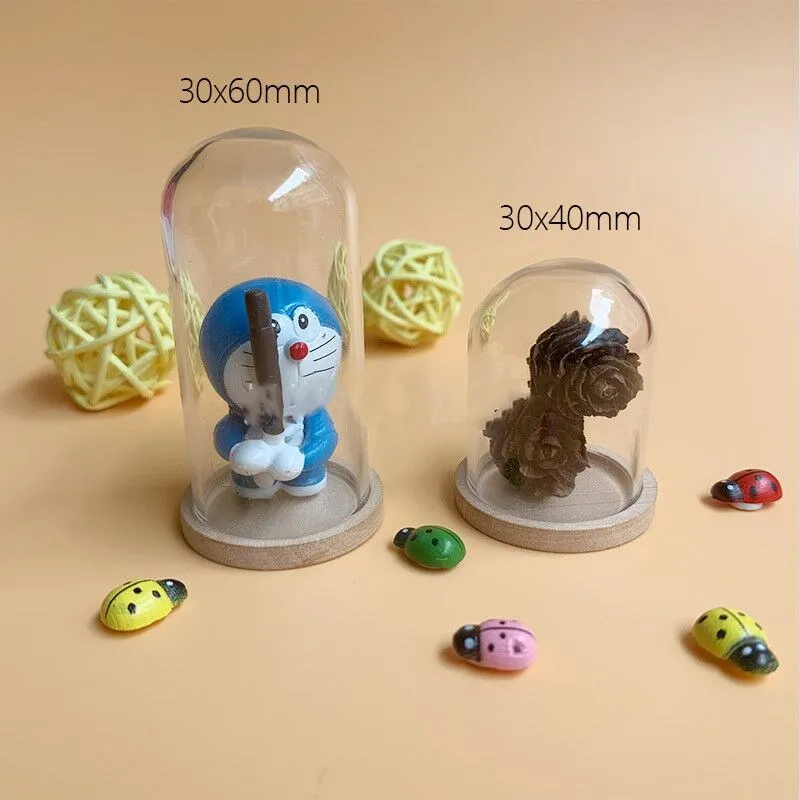 10pcs 유리 병 테라리움 항아리 대나무 기본 돔 먼지 커버 DIY 견본 즙이 많은 식물 마이크로 풍경 꽃병 디스플레이