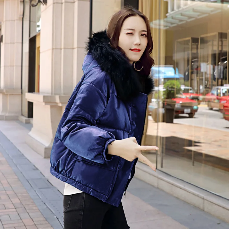

Small Cotton-Padded Jacket Women's 2018 New Style Cotton Coat down Coat Women's Short Students Korean-style BF Harajuku Wind Puf