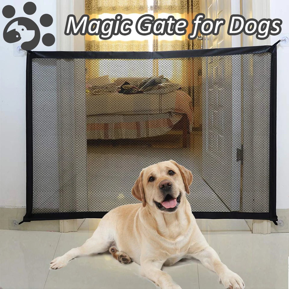 magic fence for dogs